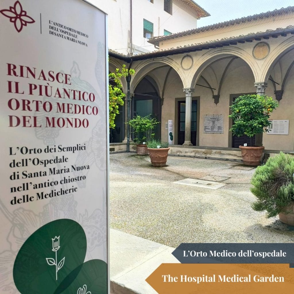 The Hospital Medical Garden