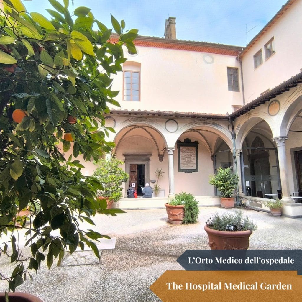 The Hospital Medical Garden