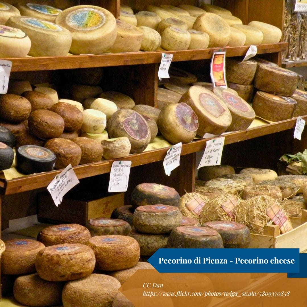 Pecorino Cheese
