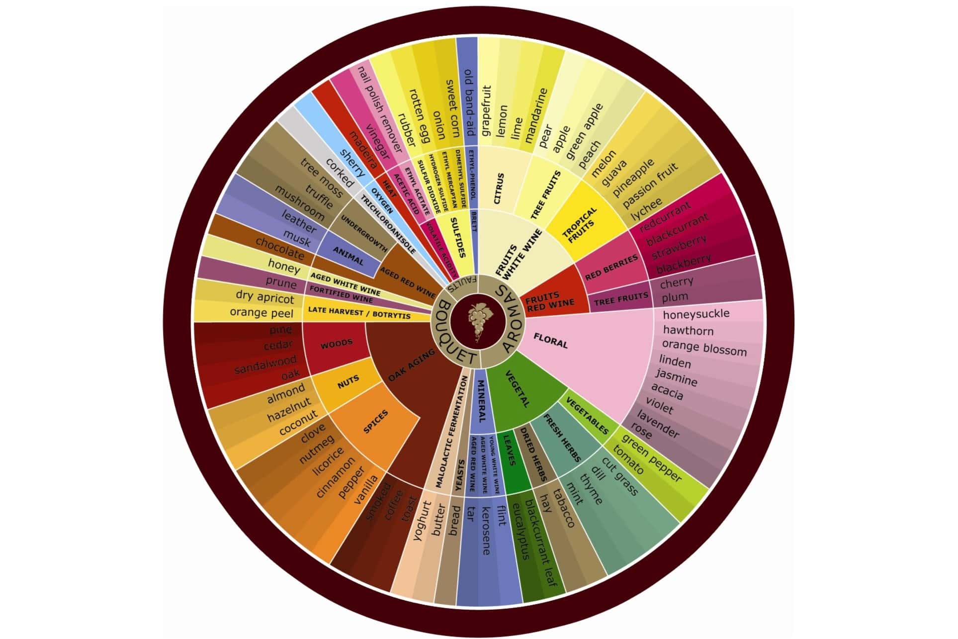 Wine Aroma Wheel