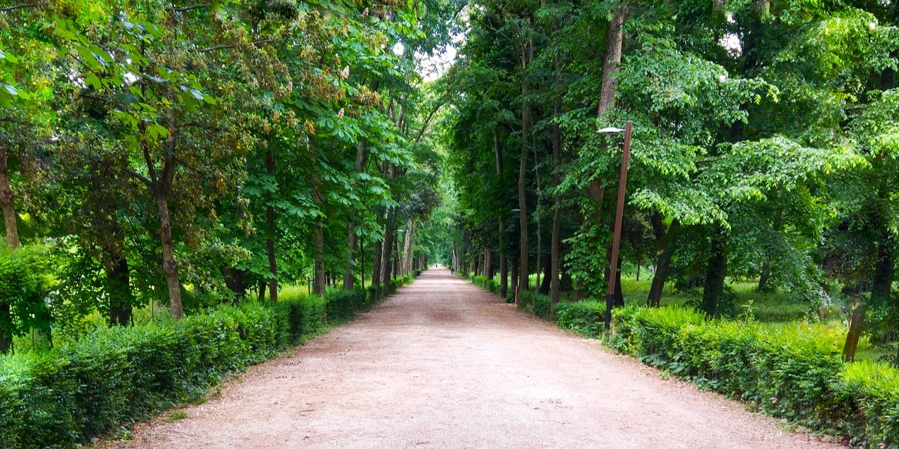 Parco delle Cascine